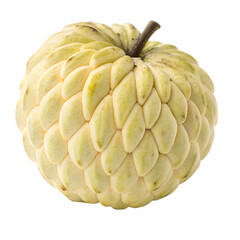 A whole custard apple fruit isolated on a transparent background