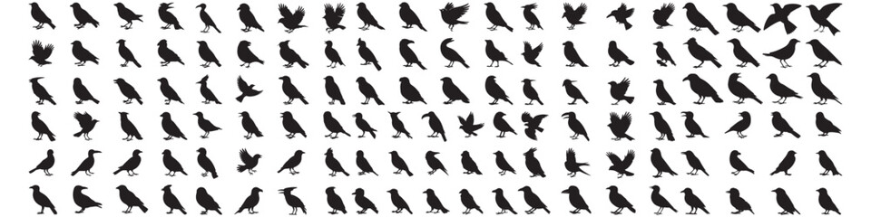 huge set of bird silhouettes for prints on medical masks and more. Vector Black silhouettes. with white background