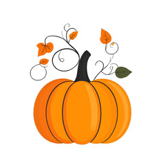 Orange Pumpkin With Green Vine And Orange Leaves Isolated On White Background