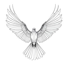 A detailed line drawing of a white dove with outstretched wings against a plain white background symbolizing peace and freedom.