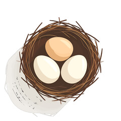 Overhead View of Three Eggs in a Woven Nest with a Soft Shadow Against a White Background