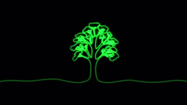 Video. Continuous neon drawing of trees. Minimal outline vector of eco, nature, forest, garden logo and green environment concept. Animation on a black background. 4K.