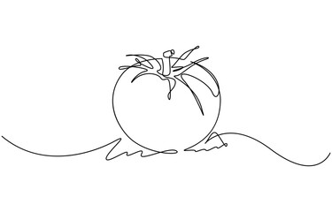 Tomato continuous one line drawing minimalist style, Isolated on transparent background. Editable outline