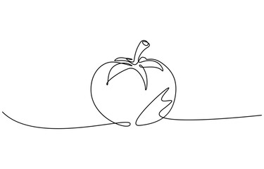 Tomato continuous one line drawing minimalist style, Isolated on transparent background. Editable outline