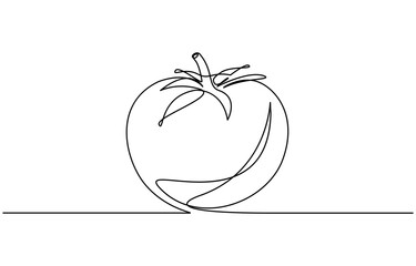 Tomato continuous one line drawing minimalist style, Isolated on transparent background. Editable outline