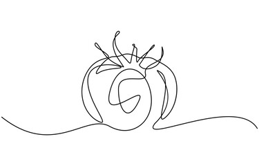 Tomato continuous one line drawing minimalist style, Isolated on transparent background. Editable outline
