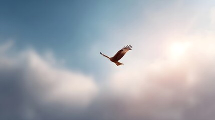 Fototapeta premium A powerful bird of prey with wings spread wide glides through atmospheric clouds under a bright warm sky symbolizing freedom and the wild