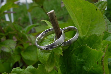 Joyas entre hojas verdes 