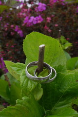 joyas de boda entre naturaleza y hojas verdes