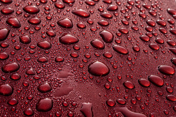 abstract, abstract image, auto, auto paint, automobile, background, bright, car, clean, coating, color, design, detail, layer, luxury, macro, metal, modern, nature, pattern, plastic, protection layer,