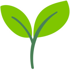 새싹 초록싹 새순 새싹잎