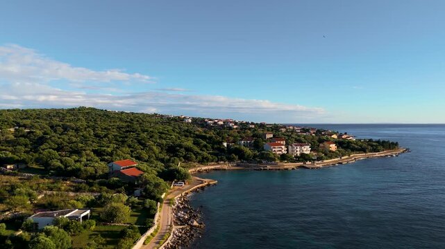 Cinematic Aerial View of Lun, Pag Island, Croatia &ndash; Peaceful Adriatic Coastline, Wild Nature, Olive Forests and Turquoise Sea