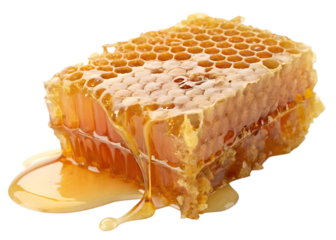 Honeycomb piece dripping golden liquid in transparent background for food advertisement