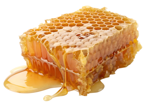 Honeycomb piece dripping golden liquid in transparent background for food advertisement