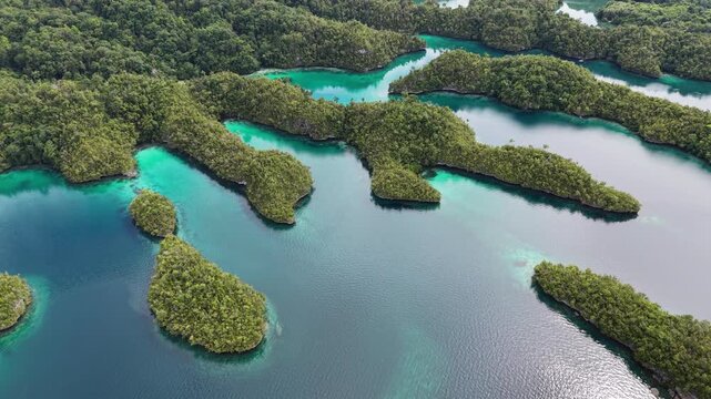 Aerial view of tropical islands and coral reefs surrounded by turquoise water in Raja Ampat, Indonesia.	