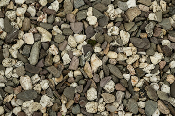 stein natur 