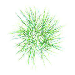 collection of green grass with realistic style from top view