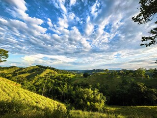 Mediodía en primavera