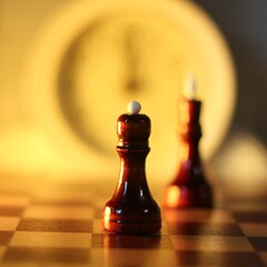 chess pieces king and queen on the chess board