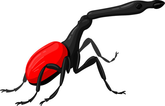 Giraffe weevil insect icon cartoon style drawing