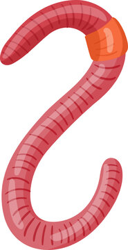 Earthworm wiggling, featuring its segmented body and clitellum