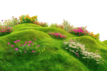Obraz premium Green grassy hills with colorful flowers isolated on transparent background
