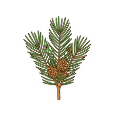 pine cone with leaves