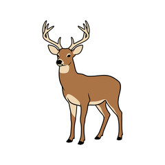 Standing Deer