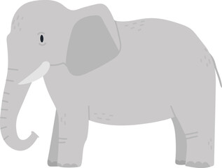 Gray elephant standing illustration for children design