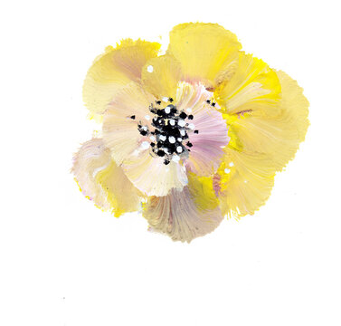 D&eacute;licate fleur jaune et blanche &agrave; la gouache