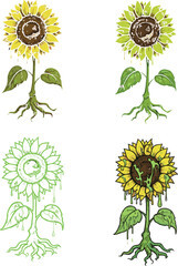Creative sunflower illustration set with dripping paint effect, botanical floral art, hand drawn nature plant vector design for decorative graphic elements