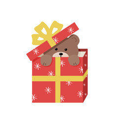 Funny little bear peeks out of a gift box. Vector illustration of the New Year's character bear clip art. Isolate on a white background.