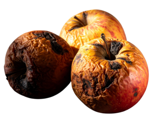  Aged Rotten Apples Still Life PNG