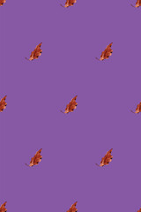 Halloween Pattern Design | Spooky Seamless Illustration