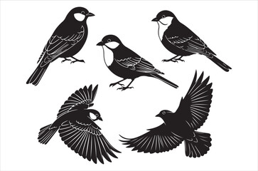 Obraz premium Several black silhouettes of birds in various flight and perched positions