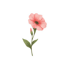 Watercolor vector of bellflower, isolated on a white background. Bellflower illustration.
