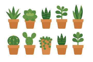 Various species of indoor plants displayed in terracotta pots against a simple white background