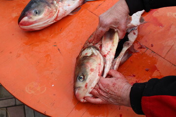A woman at home cuts fish herself to prepare a delicious meal for dinner