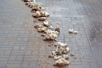 Dirty melting snow with sand and salt residue along sidewalk, thawing slush after municipal winter cleaning operation. Snow trail on pavement, thaw process and winter residue after plowing and sanding