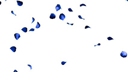 Blue Rose Petals Falling in Light &mdash; Transparent Background 