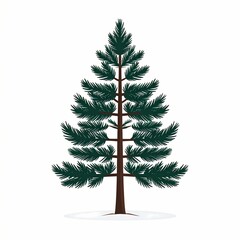 Detailed illustration of a vibrant green pine tree against a white backdrop.