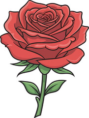 red rose vector illustration