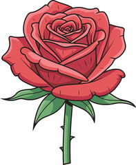 red rose isolated on white