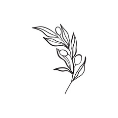 vector hand drawn branch. botanical illustration. floral art. botanical elements for wedding invitation, greeting card, t - shirt design and print. elegant