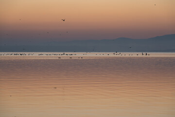 Wschód nad jeziorem Goczałkowickim jesienią, ptaki latające nad wodą.  © Elżbieta Kaps