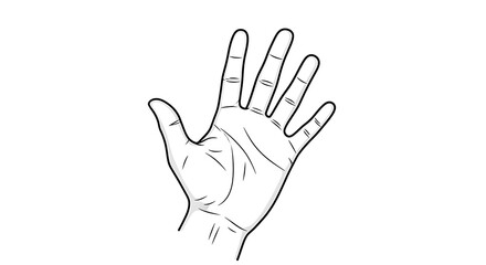 Fototapeta premium drawing of a hand to paint 