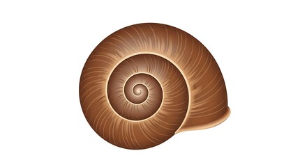 Obraz premium Snail house, white background