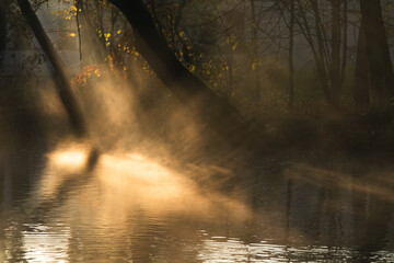 Park w Pszczynie w mglisty jesienny poranek.