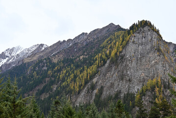 mountain landscape with green and yellow trees under cloudy sky in autumn