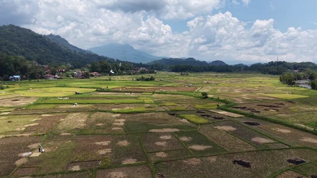 Aerial view of rice terraces near Rantepao, Tana Toraja, Indonesia, with lush greenery, water-filled paddies, and scattered rocks.	